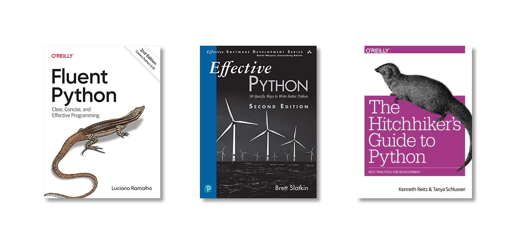 Books to read for Python mastery 